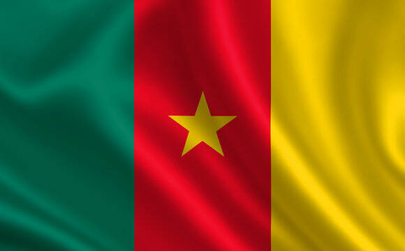 Cameroon treaty country flag